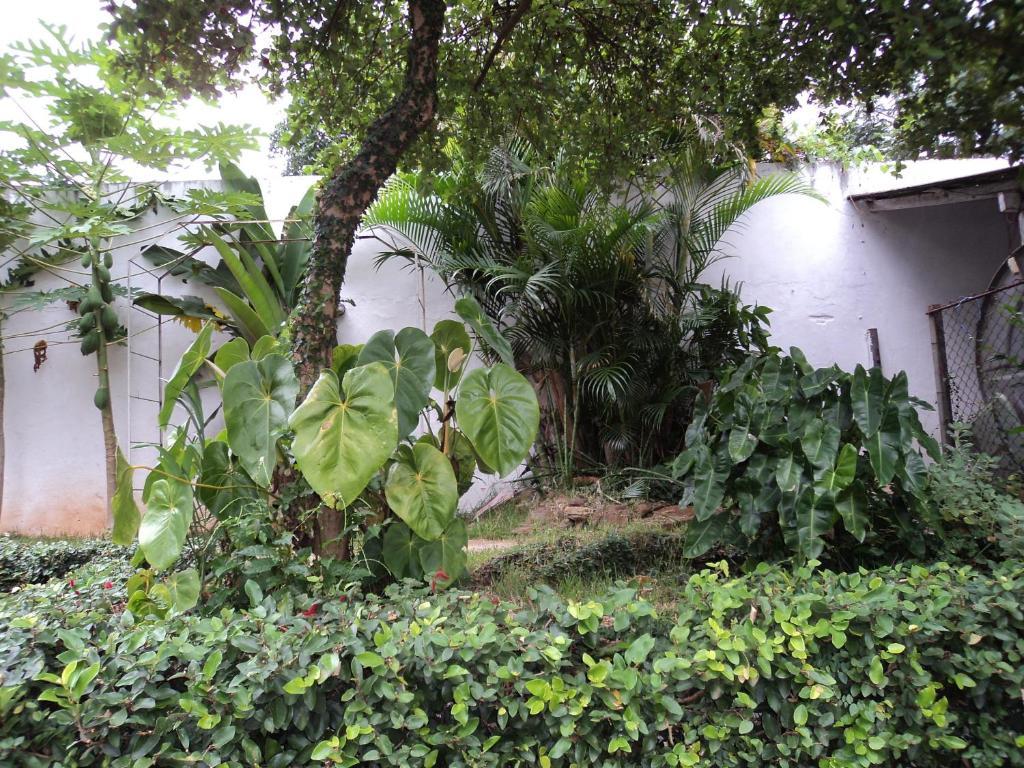 Iguassu Central Flats Foz do Iguaçu Exterior foto